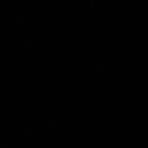 Meet your Posher, Bryan